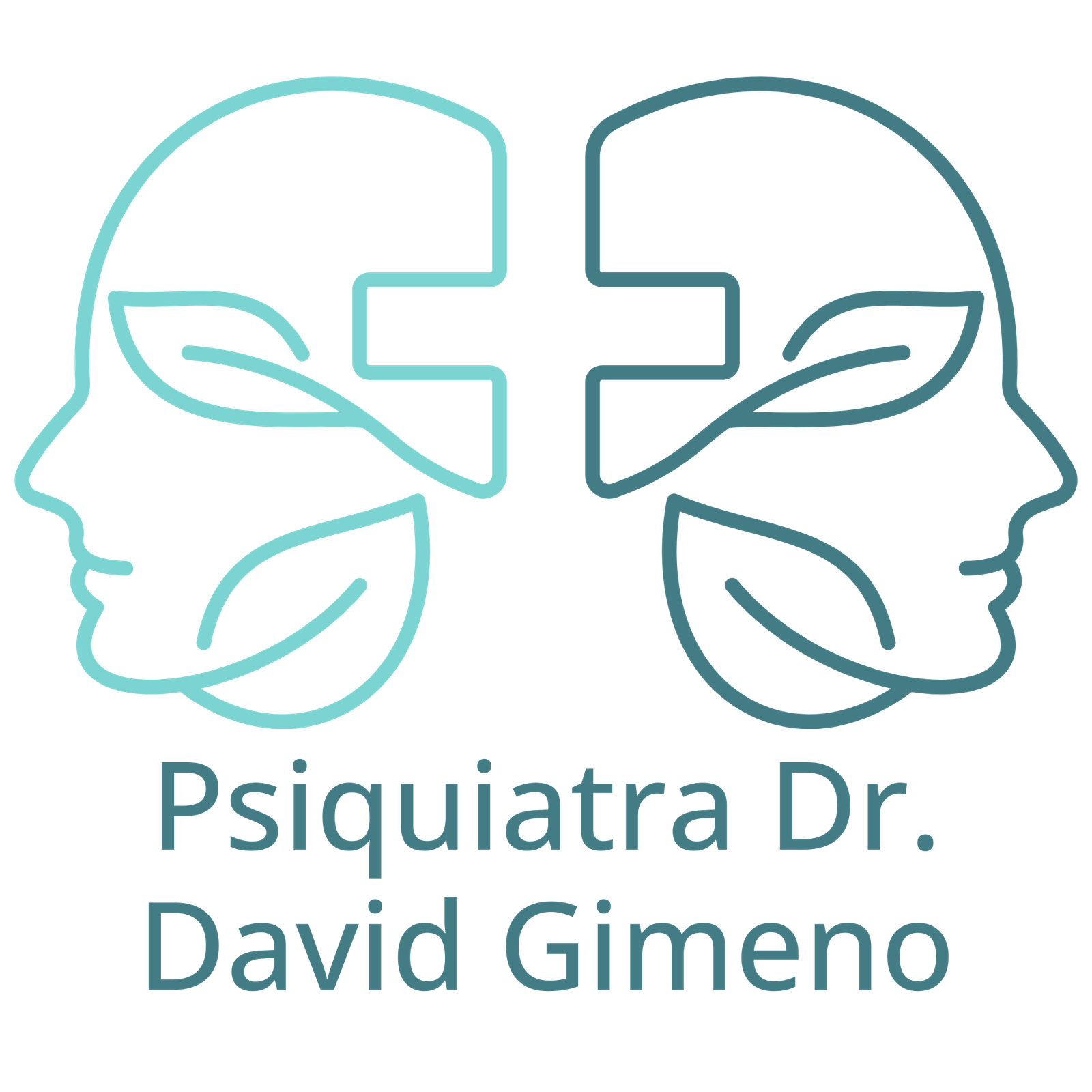 logo psiquiatra dr. david gimeno