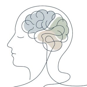 Entiende tu cerebro
